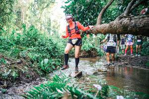 BIB: 
                            <button type="button" onclick="openModal(25513979)" class="btn btn-primary btn-sm float-right btn-popup" data-toggle="modal" data-target=".modal-high-quality">
                        <i class="fas fa-shopping-cart"></i> Add to Cart
                    </button>
                                            <button type="button" onclick="isThisMe(25513979, true)" class="btn btn-success btn-sm float-right btn-popup btn-isme hidden" data-toggle="tooltip" data-placement="bottom" title="นี่คือรูปของคุณใช่ไหม คลิกที่นี่เพื่อเอาเข้าอัลบั้ม">
                        <i class="fas fa-plus"></i> Add to album
                    </button>
                    <button type="button" onclick="isThisMe(25513979, false)" class="btn btn-warning btn-sm float-right btn-popup btn-isnotme hidden">
                        <i class="fas fa-ban"></i> Remove from album
                    </button>